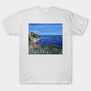 THE SOUTH WEST COAST PATH BRIXHAM T-Shirt